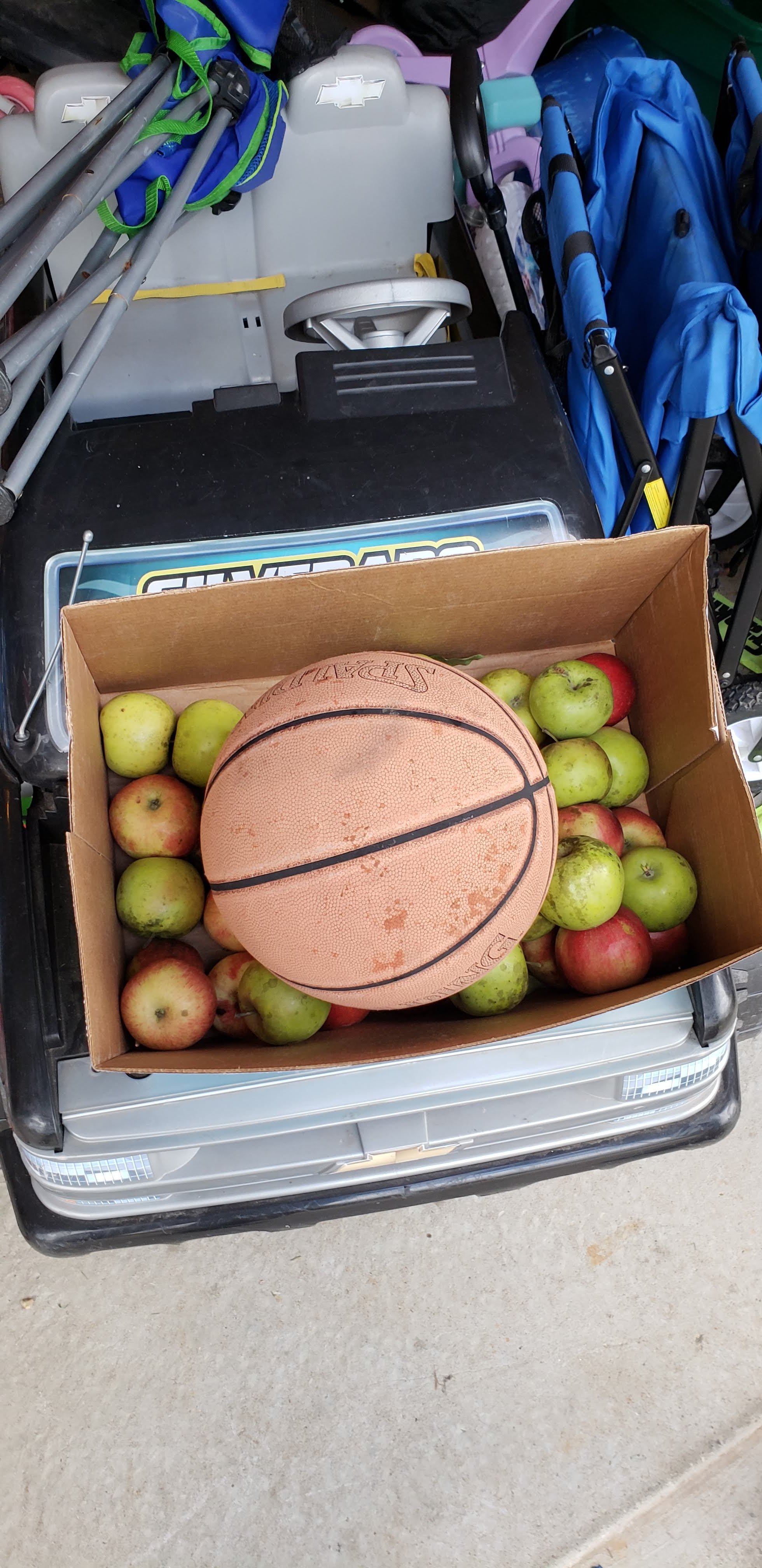 Basketball in Apples